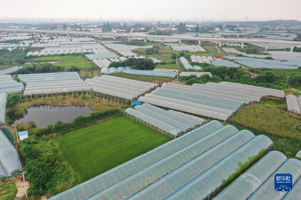 必发365天天乐趣网投
